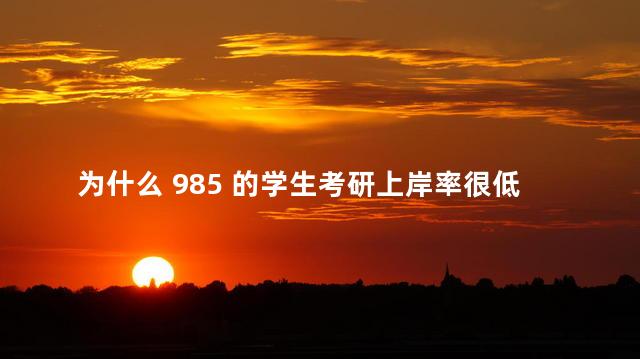 为什么 985 的学生考研上岸率很低